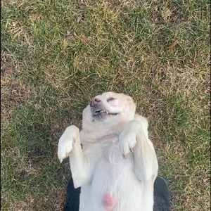 Meet your Posher, Aaron